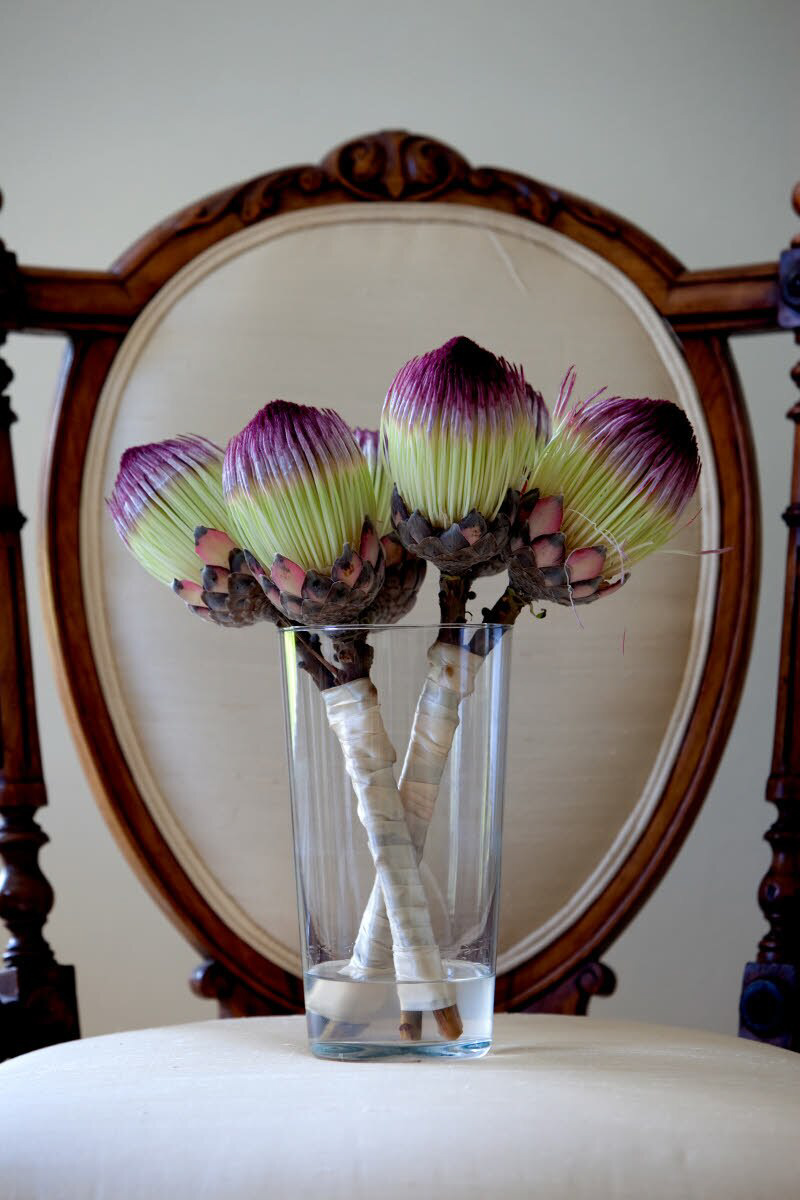 Bouquets of purple, light green, and light pink proteas in vase sitting on chair - photo by South Africa based wedding photographer Greg Lumley
